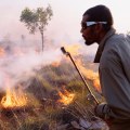 Empowering Australian Communities Against Wildfires: Prevention, Preparation, and Support