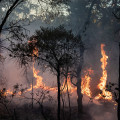 Grilling Safety: Tips for Protecting Australian Rural Communities from Bush Fires