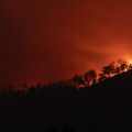 Empowering Australian Rural Communities Against Bush Fires: A Guide to Smoke Alarms