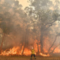 Creating a Disaster Recovery Plan for Empowering Australian Rural Communities Against Bush Fires