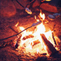 Campfire Safety Tips: How to Protect Your Community from Bush Fires