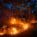 Fire Extinguishers: Essential Tools for Protecting Australian Rural Communities Against Bush Fires