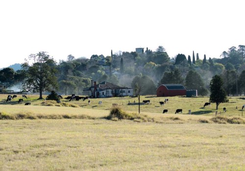 Coping with Disaster Trauma: Tips for Australian Rural Communities