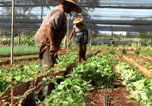 Empowering Australian Rural Communities Against Terrorist Attacks