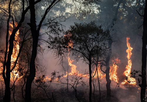 Grilling Safety: Tips for Protecting Australian Rural Communities from Bush Fires