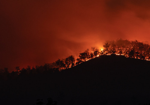 Empowering Australian Rural Communities Against Bush Fires: A Guide to Smoke Alarms