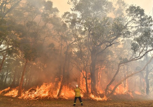 Creating a Disaster Recovery Plan for Empowering Australian Rural Communities Against Bush Fires