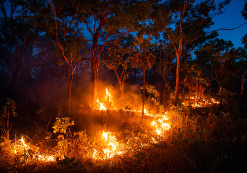 Fire Extinguishers: Essential Tools for Protecting Australian Rural Communities Against Bush Fires